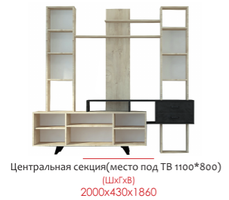 ФЬЮЖН центральная секция