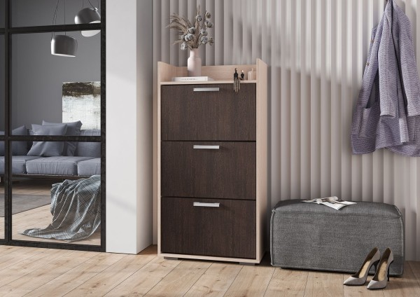 ДЕЛИ обувница №2 (0,6х1,16х0,32) ВЕНГЕ/БЕЛФОРТ СНЯТО